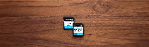 1TB SDXC CANVAS GO PLUS 200R Gen4 C10 UHS-I U3 V30 200MB/s