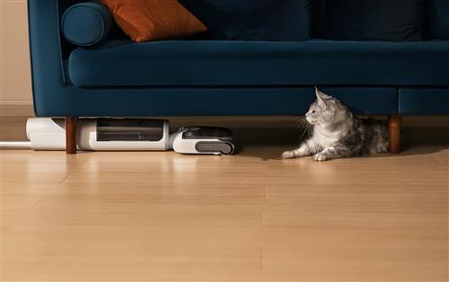 Roborock F25 RT Aspirapolvere elettrica Batteria Secco e bagnato Senza sacchetto Bianco 2,5 Ah