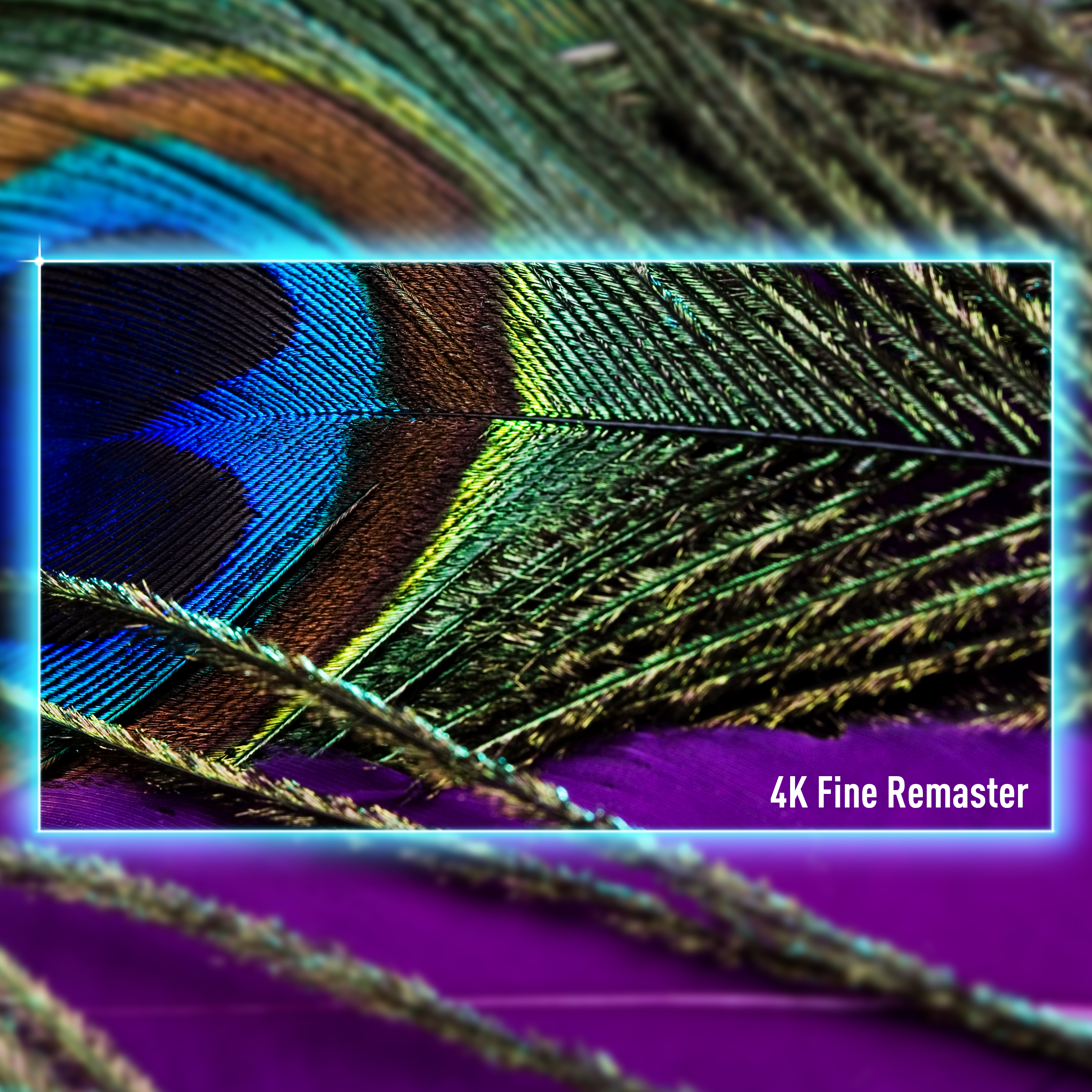 Panasonic Smart TV MASTER OLED PRO UHD 4K 55