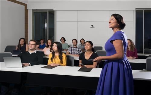 Logitech PTZ Pro 2 Nero, Grigio 30 fps