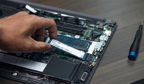 Kingston Technology NV2 250 GB PCI Express 4.0 3D NAND