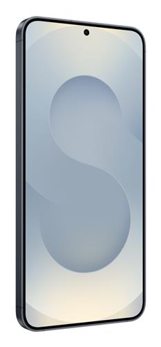 Samsung Galaxy S25+ SM-S936B/DS 17 cm (6.7