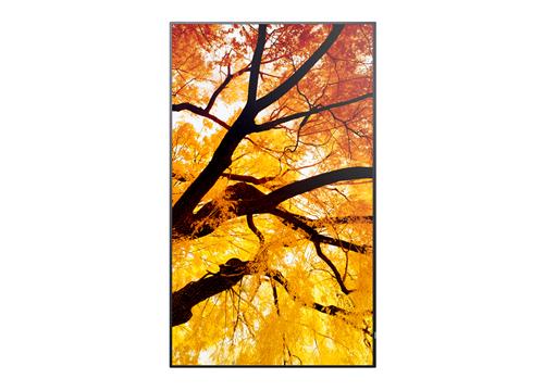 Sharp MultiSync M322 Pannello piatto per segnaletica digitale 81,3 cm (32