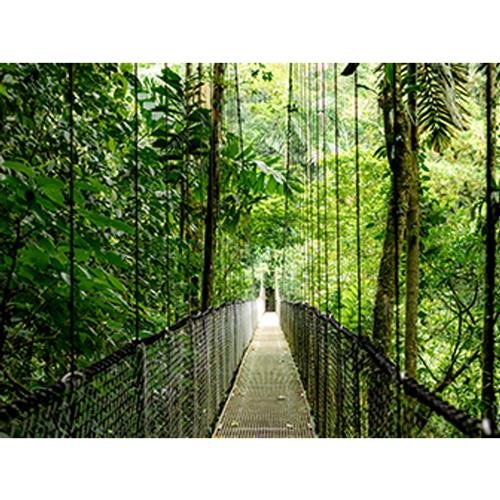 HP EliteBook 6 G1i AI Intel Core Ultra 7 255U Computer portatile 35,6 cm (14