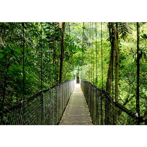 HP EliteBook 6 G1i AI Intel Core Ultra 7 255U Computer portatile 35,6 cm (14