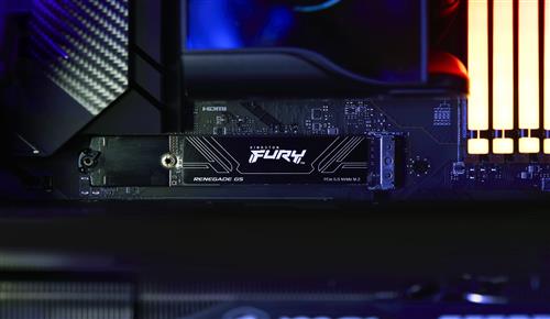4TB FURY RENEGADE G5 M.2 2280 PCIE 5.0 NVME SSD