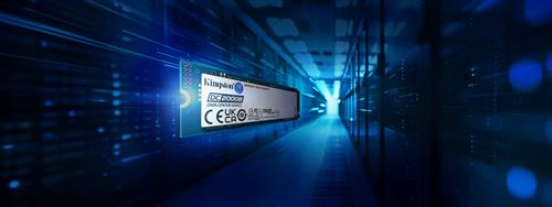 960G DC2000B PCIE 4.0 M.2 2280 ENTERPRISE SSD