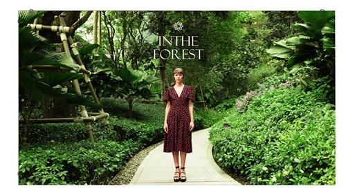 LSCC015 P.P1.56 INDOOR 800NIT 16:9 600X335.5X33.6MM 384X216PX