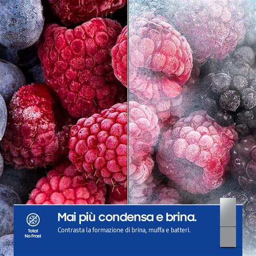 FRIGO COMBI 344LT H185 NF INOX E