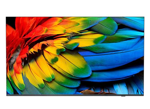 50IN MEDIA SUITE IPTV 3840X2160 5000:1 HDMI 16GB