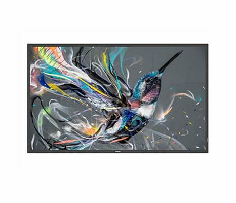 Philips 65BDL3650QE/00 visualizzatore di messaggi Pannello piatto per segnaletica digitale 165,1 cm (65