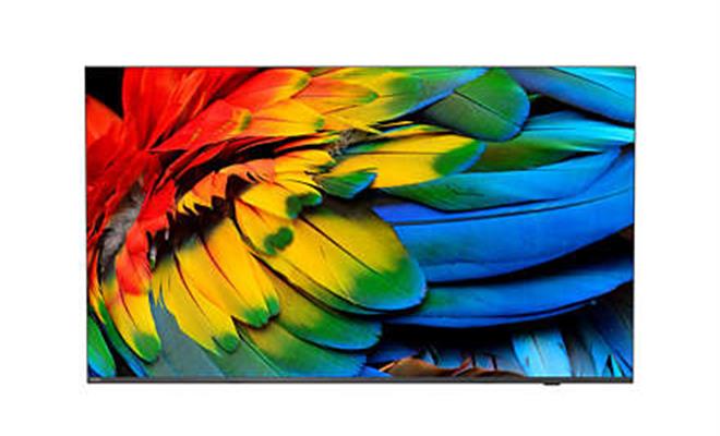 65IN MEDIA SUITE IPTV ANDROID P 3840X2160 16:9 5000:1 8MS