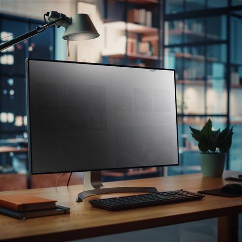 FILTRO PER LA PRIVACY DEL MONIT or da 32 - Opaco/Lucido