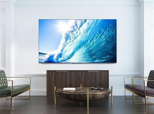 FIXED BRACKET ANTI-THEFT SYSTEM UP TO 49IN