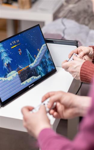 Verbatim 49592 Monitor PC 39,6 cm (15.6