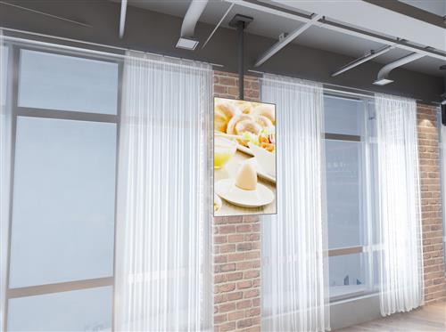 PRO VESA 400X400 CEILING KIT