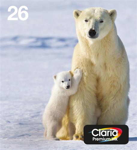 Epson Polar bear C13T26164511 cartuccia d'inchiostro 1 pz Originale Resa standard Nero, Ciano, Magenta, Giallo